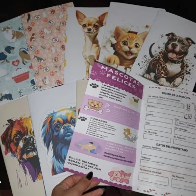 Historias Clínicas personalizadas para mascotas