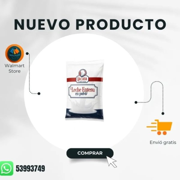 Leche en polvo