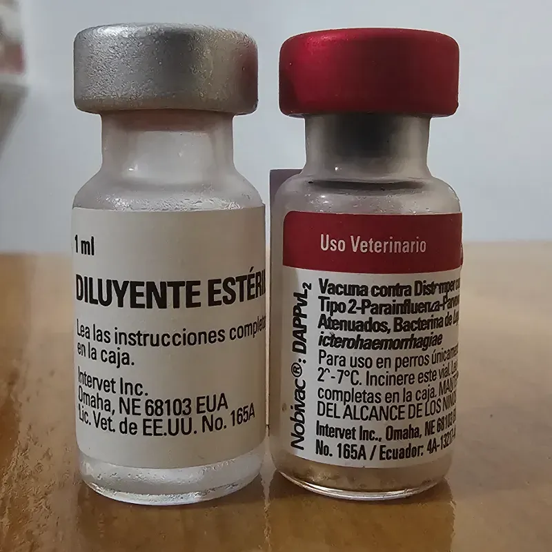 PENTAVALENTE AMERICANA NOBIVAC® DAPPvL2