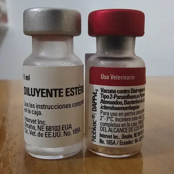 PENTAVALENTE AMERICANA NOBIVAC® DAPPvL2