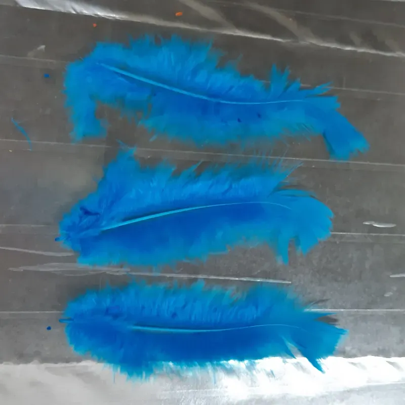 PLUMAS DECORATIVAS 13 - 20 UNIDADES