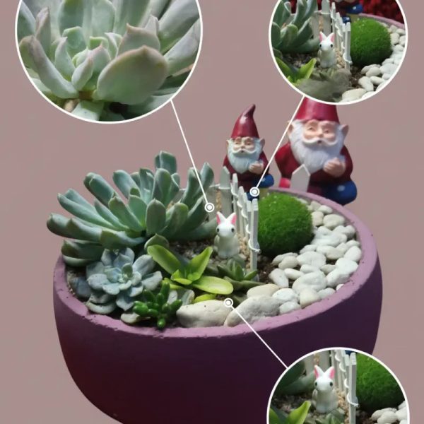 Terrario de gonomo