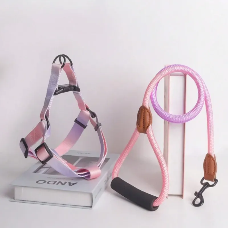 Conjunto de arnés y correa