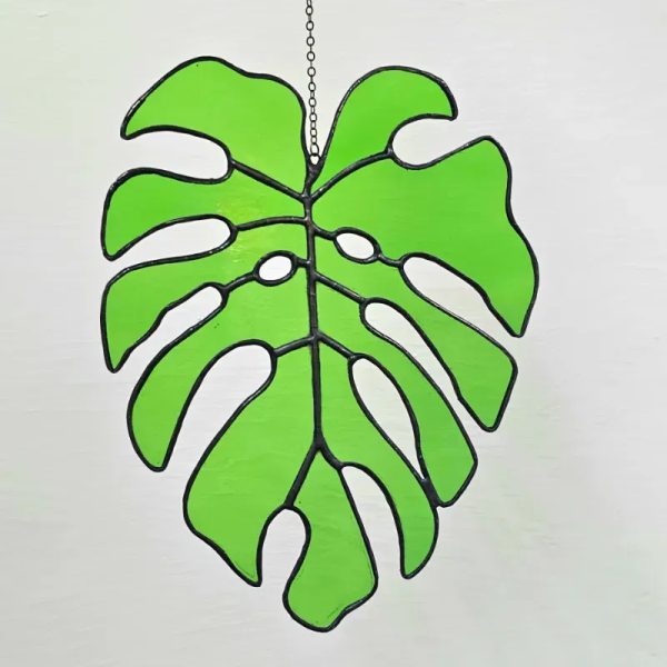 Monstera grande 