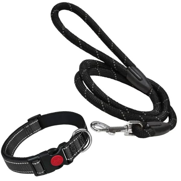 COLLAR CON CORREA