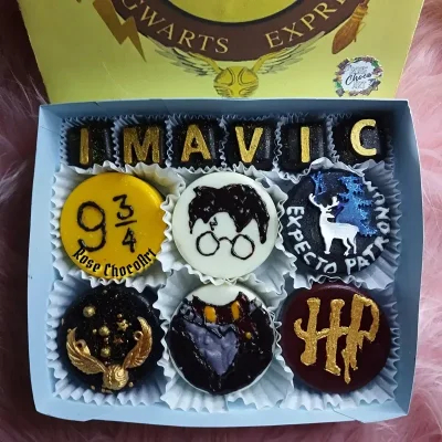 ⚡Nueva caja de alfajores Temática Harry Potter