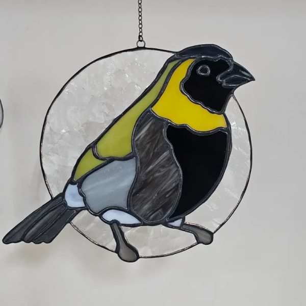 Tomeguín del Pinar