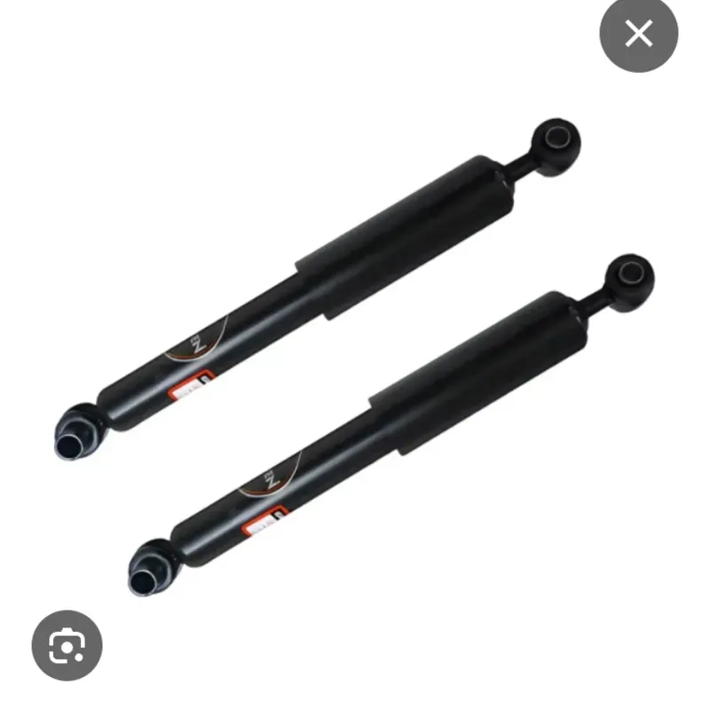 Amortiguador trasero doble acción