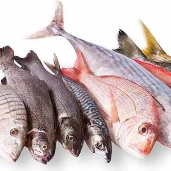 PESCADO