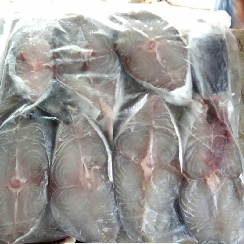 Rueda de peto 1.50lb