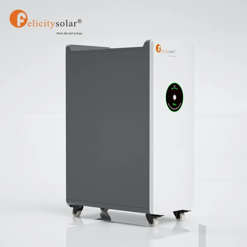 Batería litio 48V 300Ah LPBF48300