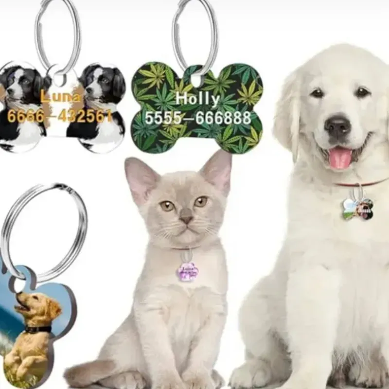 Llavero collar /mascotas ✨