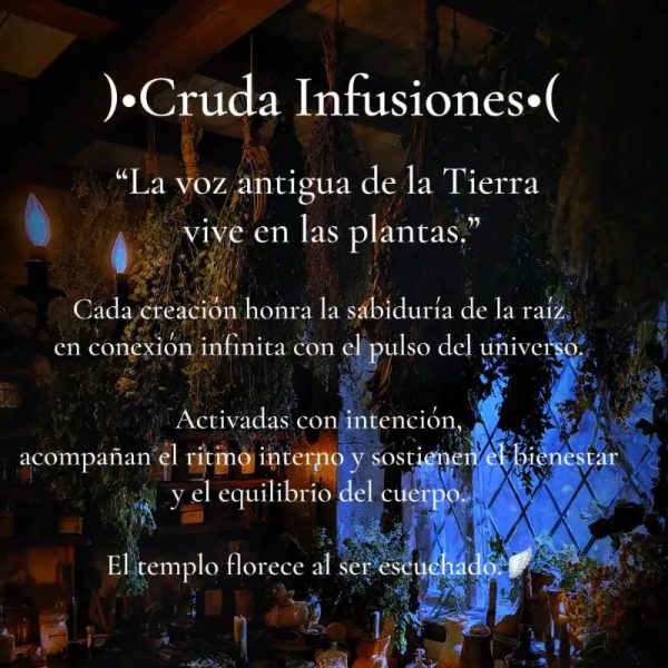 Infusiones