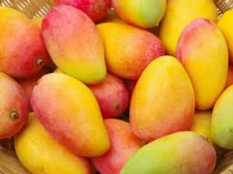 Mango (Unidad)