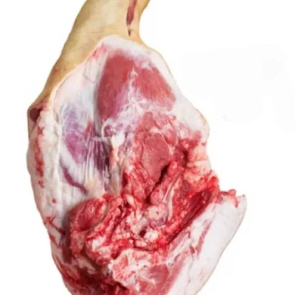 Cerdo 