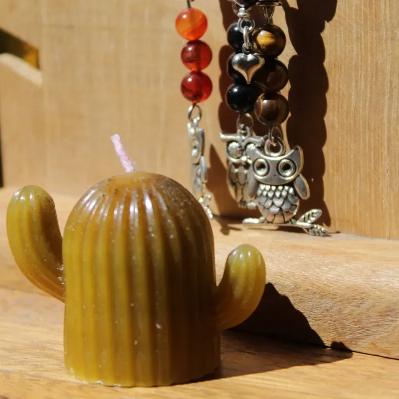 Vela de cactus