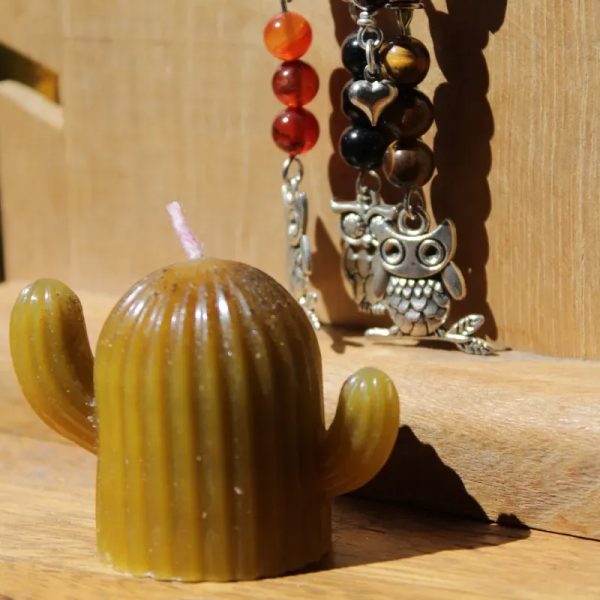 Vela de cactus