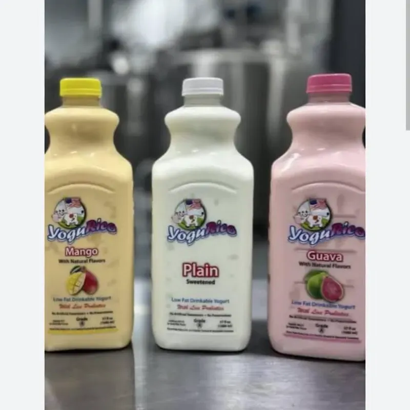Yogurt proviotico