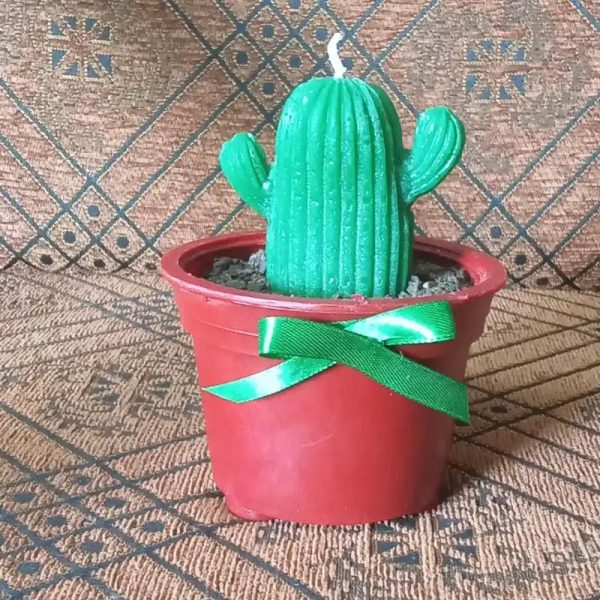 Cactus 2