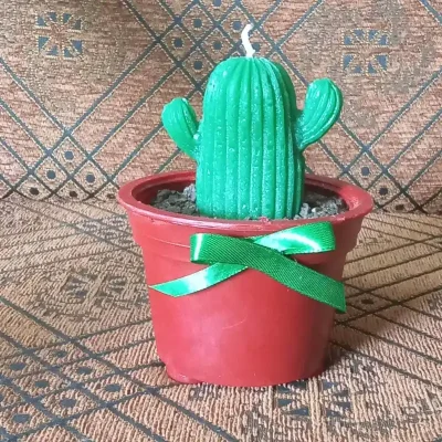 Cactus 2