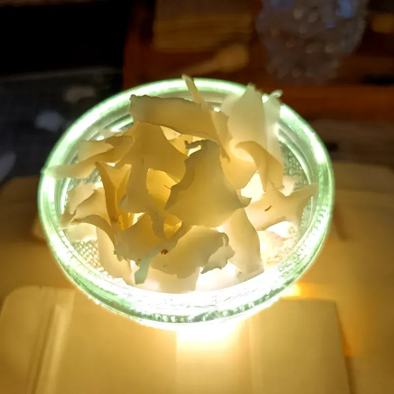 Coco deshidratado en pétalos (25g)