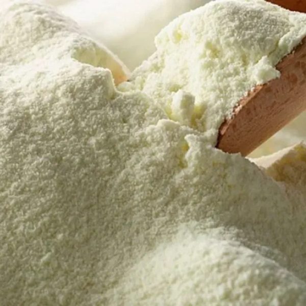 Leche en Polvo