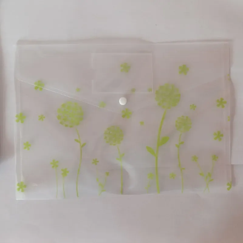 Carpeta plástica con broche