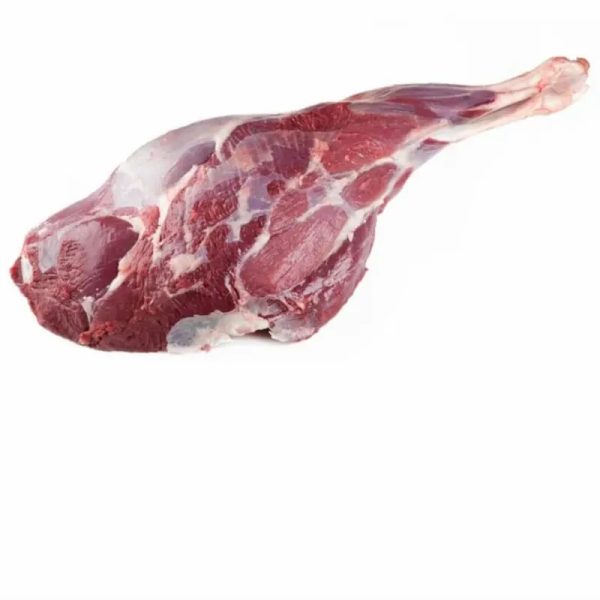 Carne de Ovejo