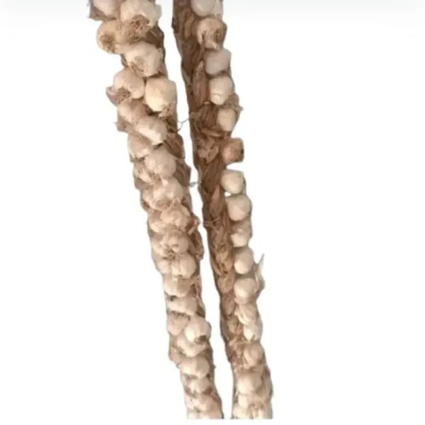 Ristra de Ajo Chileno