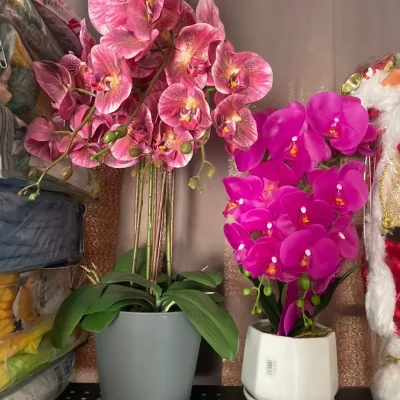 Orquídeas artificiales