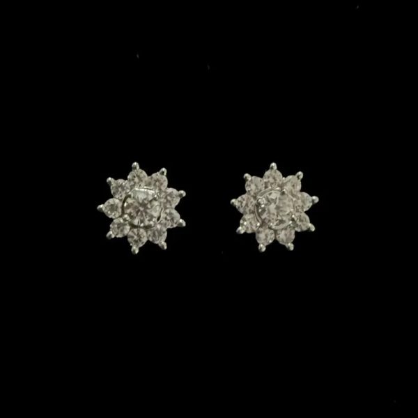 Aretes 325
