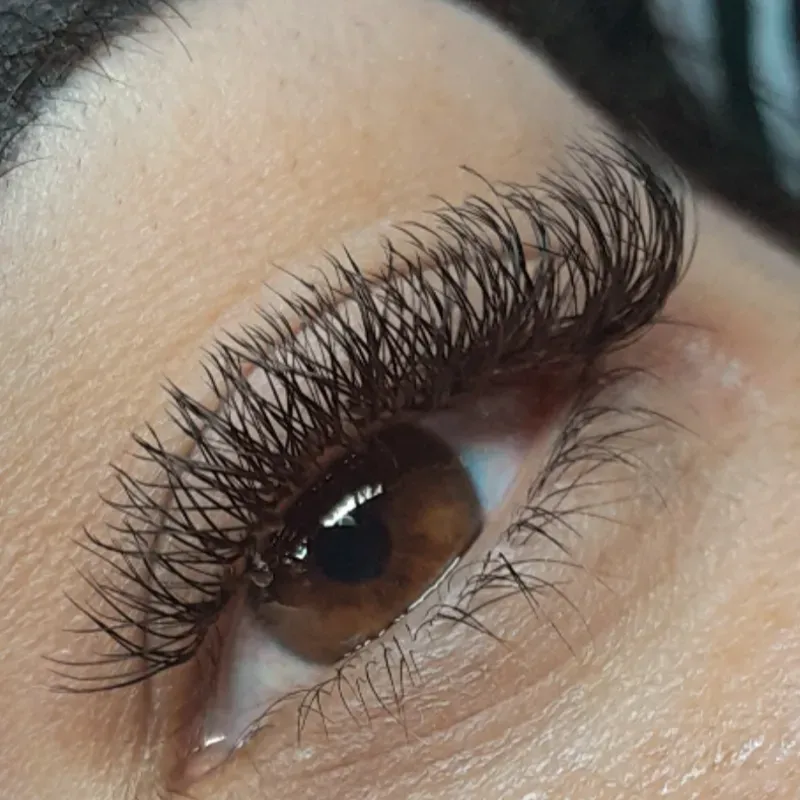 Extensiones de Pestañas Pelo a Pelo Volumen Brasileño