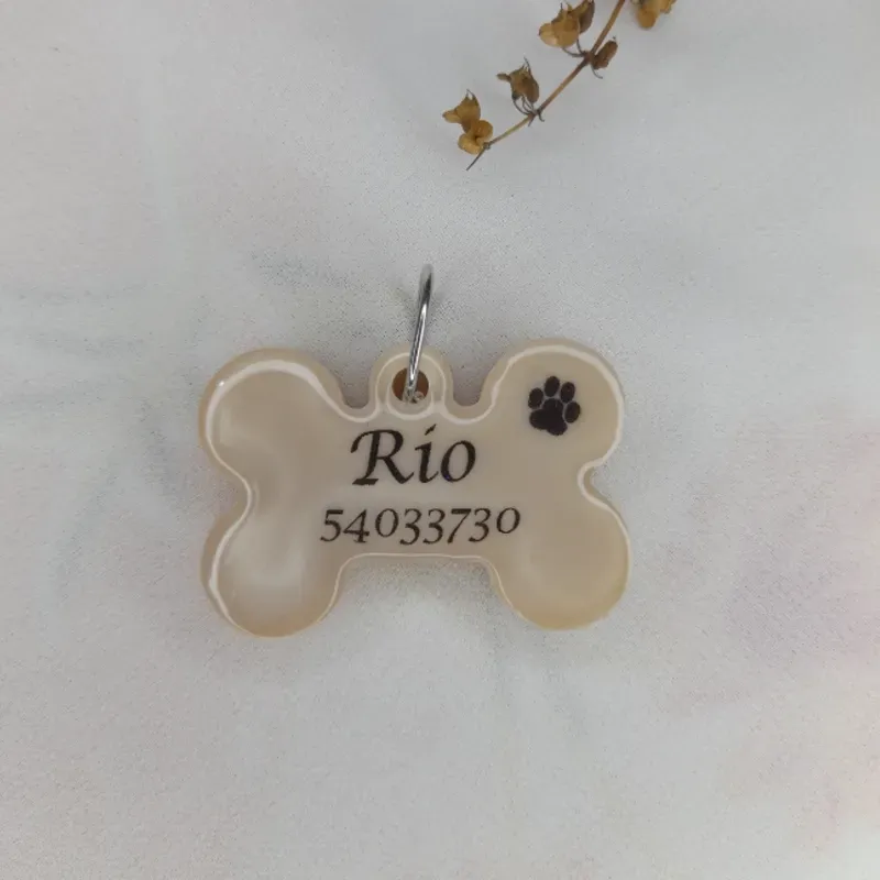 Chapilla para mascotas