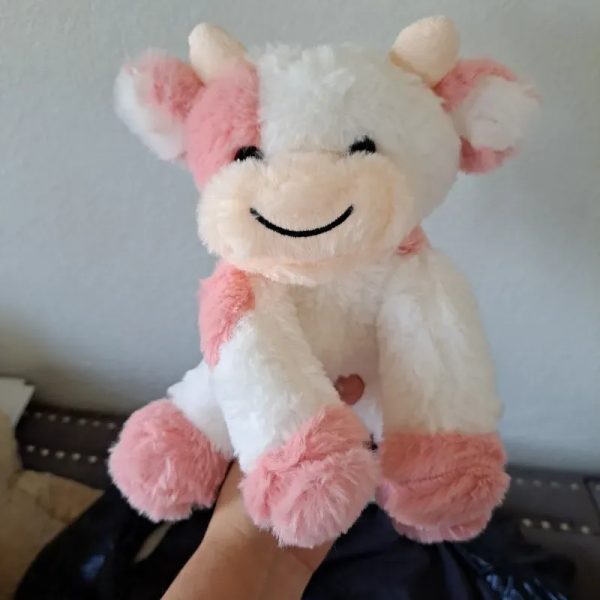 Peluche