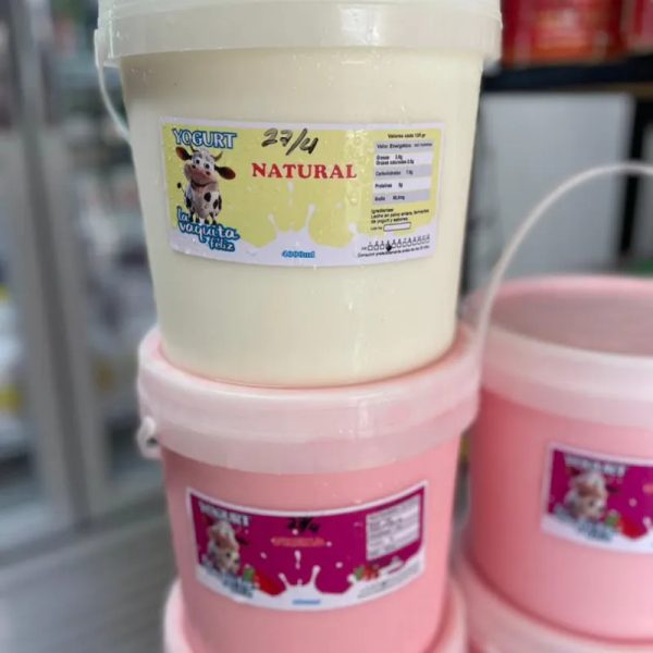 Yogurt natural