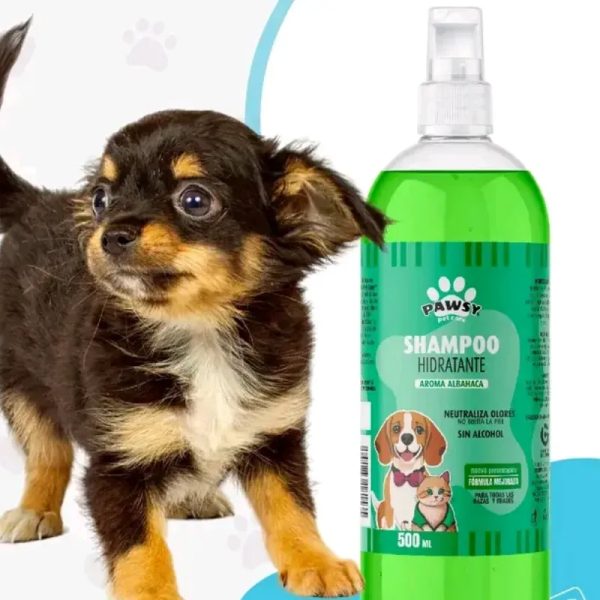 SHAMPOO HIDRATANTE