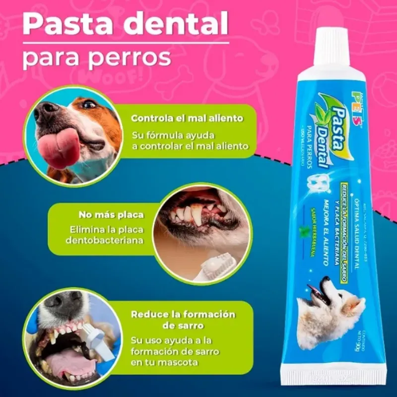PASTA DENTAL