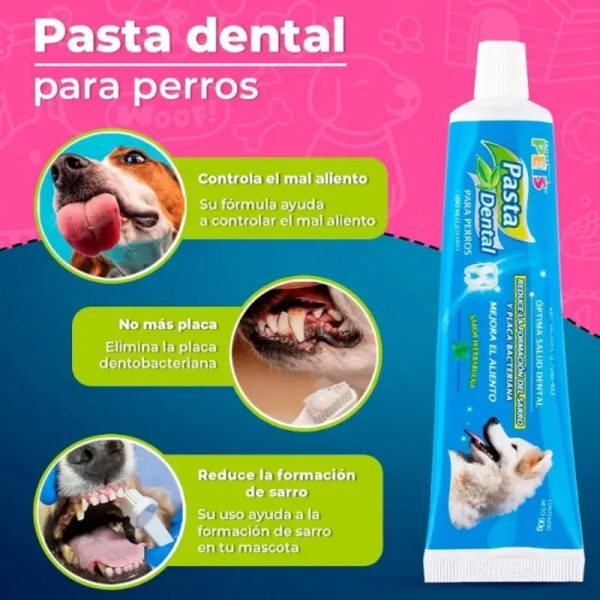 PASTA DENTAL