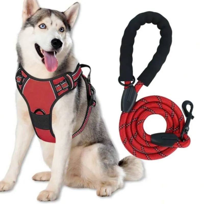 Conjunto de arnés y correa reflectantes L