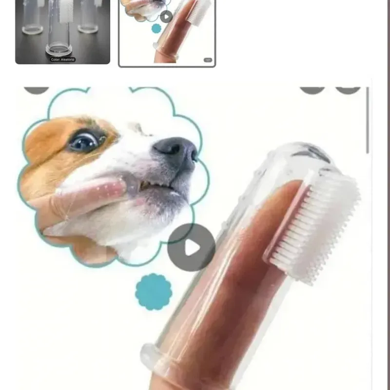 ‼️Cepillo de dientes ‼️