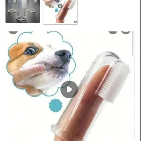 ‼️Cepillo de dientes ‼️