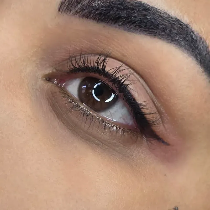 Micropigmentación de párpados (delineado)