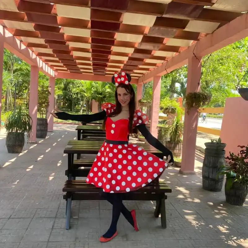 Mini Real