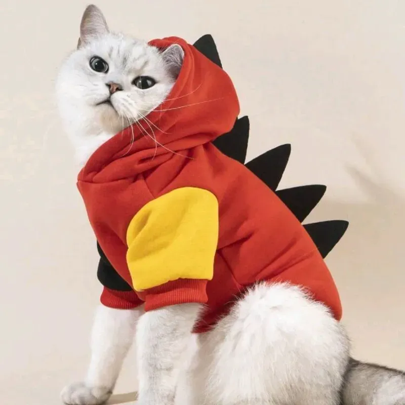 Disfraz de dinosaurio