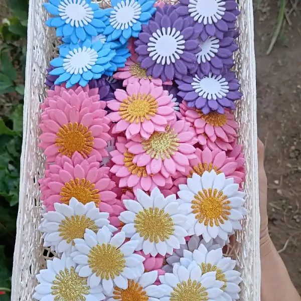 Flores 