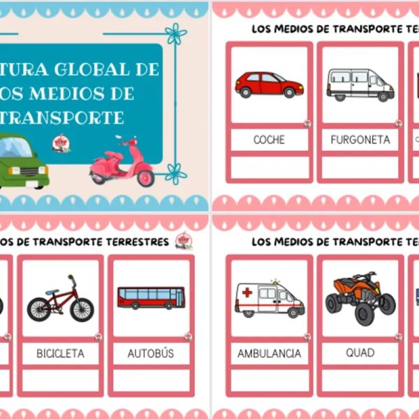 Lectura Global de los medios de transporte