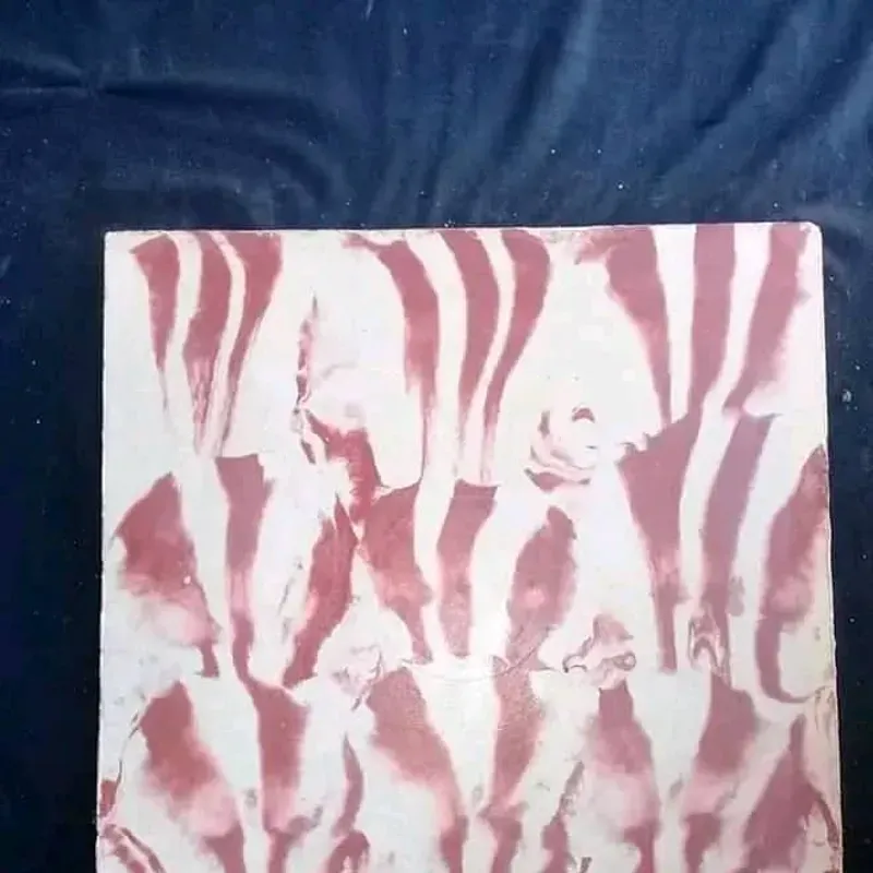 revuelto rojo fondo blanco