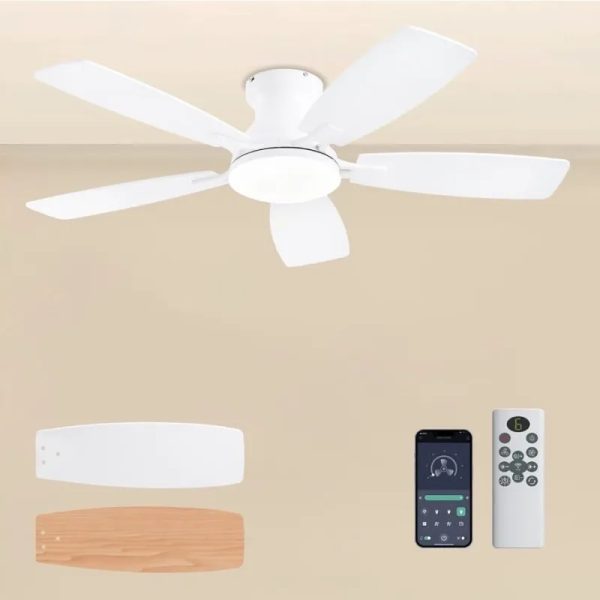 Ventilador de Techo