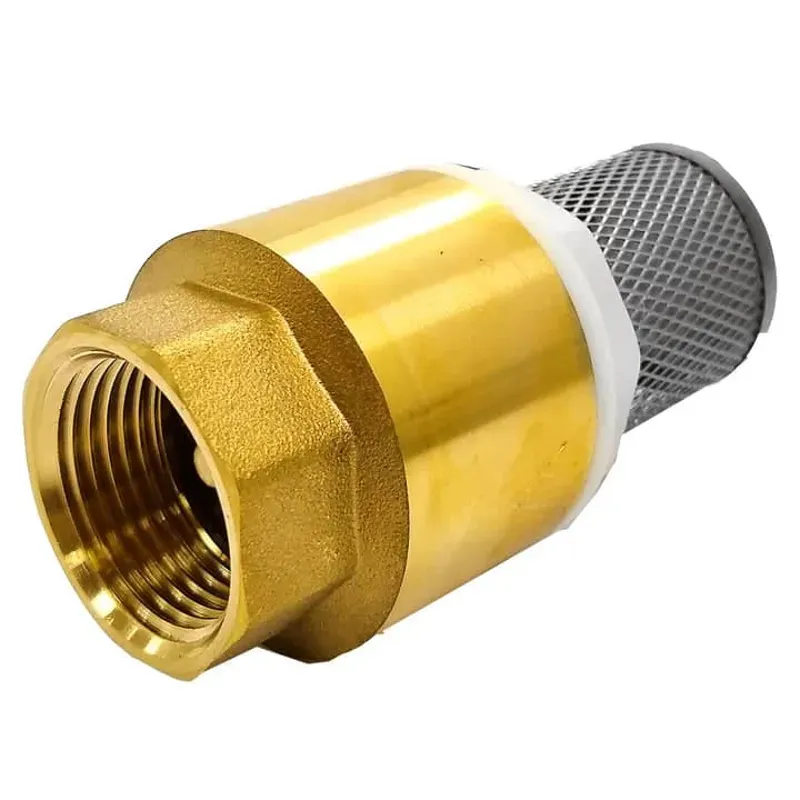 Cheque de cisterna, Válvula de pie rejilla acero inoxidable 1"