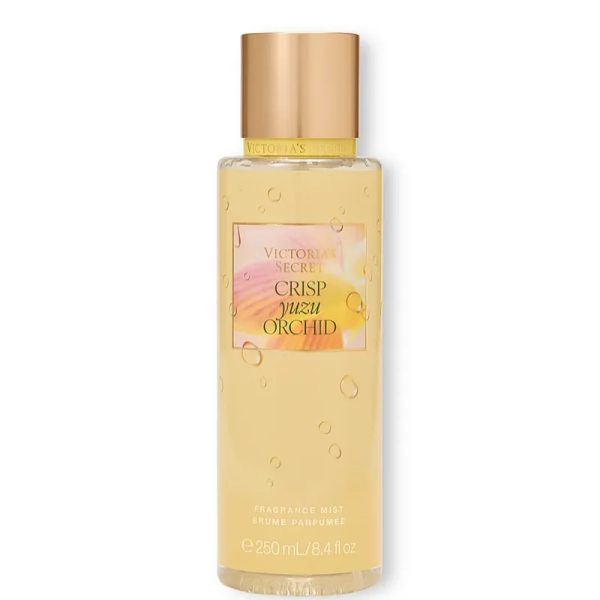 Crisp Yuzu Orchid